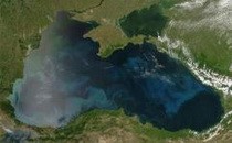 Міжнародний День Чорного моря Міжнародний День Чорного моря
