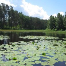 Всесвітній День охорони водно-болотяних угідь!!!